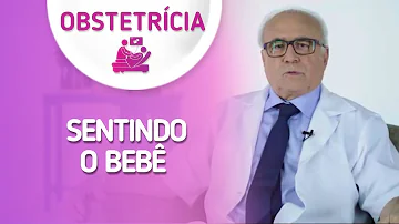 Quando o bebê sente o toque na barriga?
