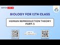 Biology class 12th  human reproduction theory part5