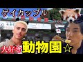 動物園ではしゃぎ倒すゲイカップル【Vlog】