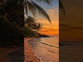 POV: you escaped to a tropical sunset 🌴☀️