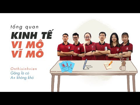 Video Kinh tế vĩ mô - Kinh tế vi mô là gì |👥 Mai Anh - youtube
