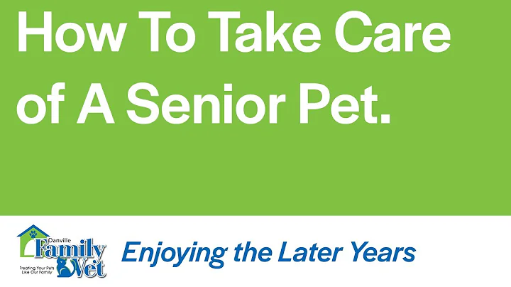 How to take Care of a Senior Pet Care with Dr Katie Rohrig