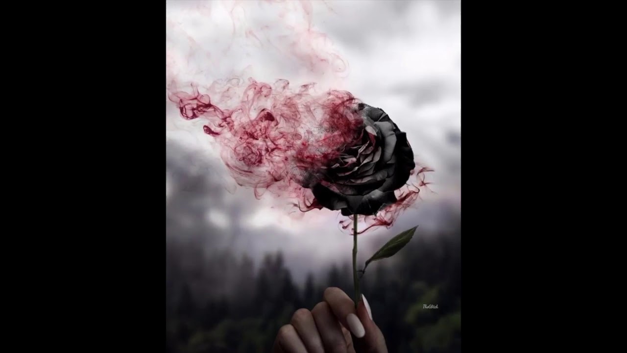 Dizzy 2 Cups - Been in Love (Official Visual Audio)