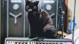 Smokey’s Off His Rocker - Robbie Grier Profile