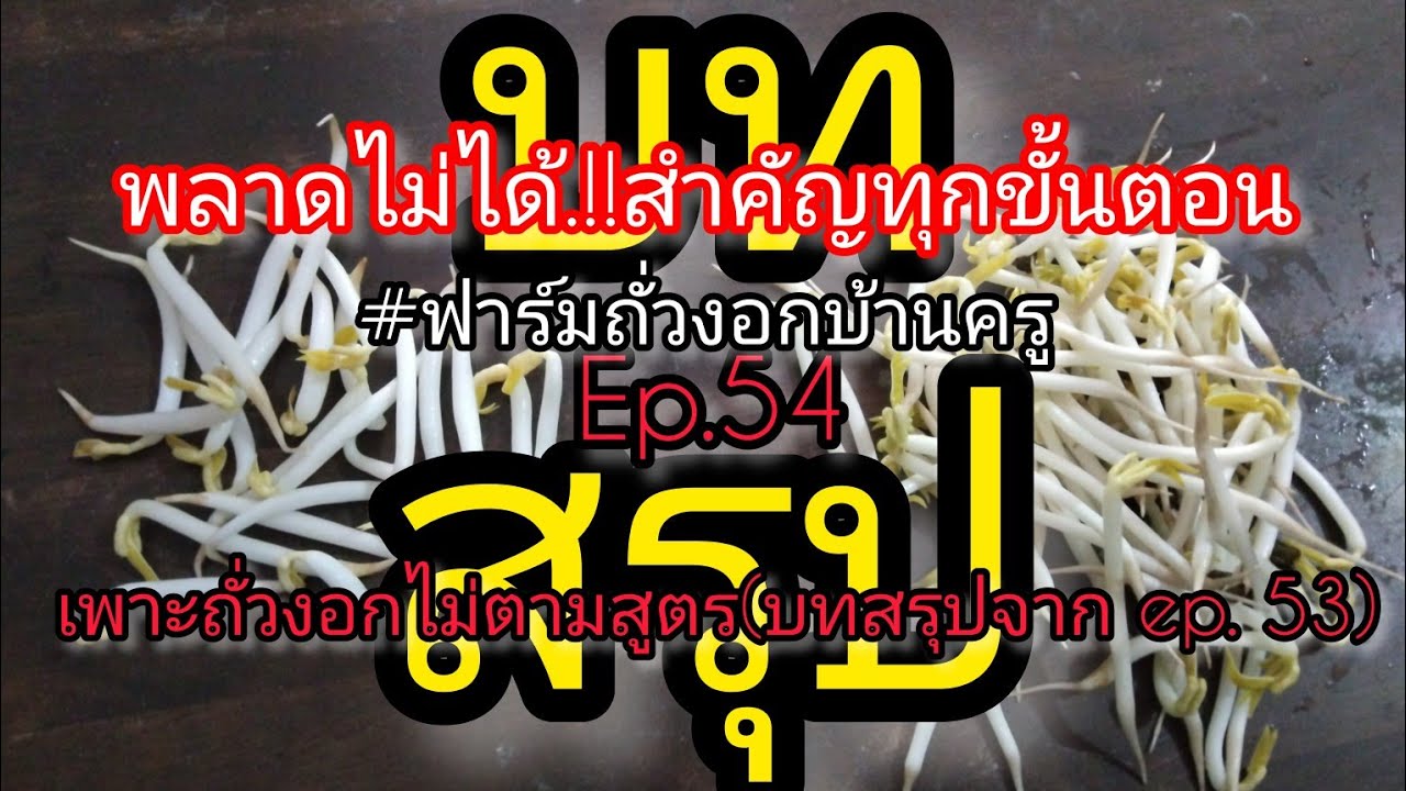 ถั่วงอกเป็นไงมาดูกัน.!บทสรุปเพาะถั่วงอกนอกตำราต่อจาก|Ep. 53 #ฟาร์มถั่วงอกบ้านคร  #ถั่วงอกเศรษฐีมีสุข