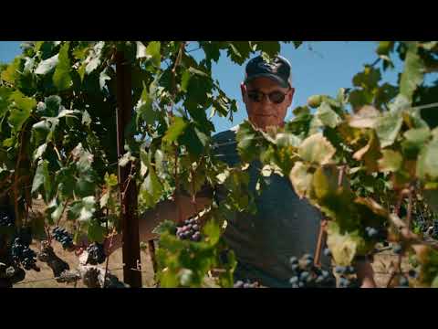     2 38402160 178 264 20221018