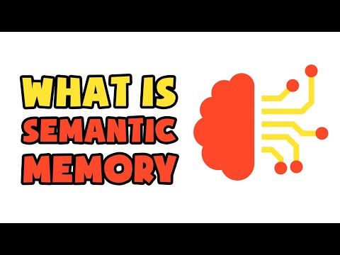 ვიდეო: ტვინის რომელი ნაწილი აკონტროლებს სემანტიკურ მეხსიერებას?