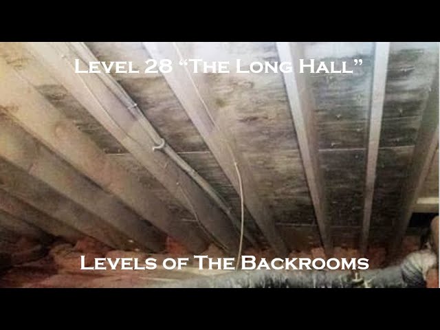 Level 37 of The Backrooms Welcome To The Jungle, The Backrooms