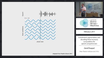 Entrainment, segmentation, and decoding: three necessary computations for speech comprehension