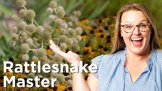 Why Plant Rattlesnake Master in Oklahoma?