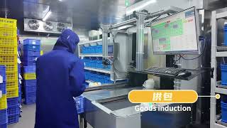 Damon Flash Sorter Application Cold Chain Logistics