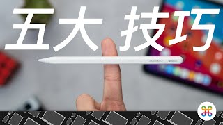Apple Pencil 五大必備技巧！這樣用，才有效率！