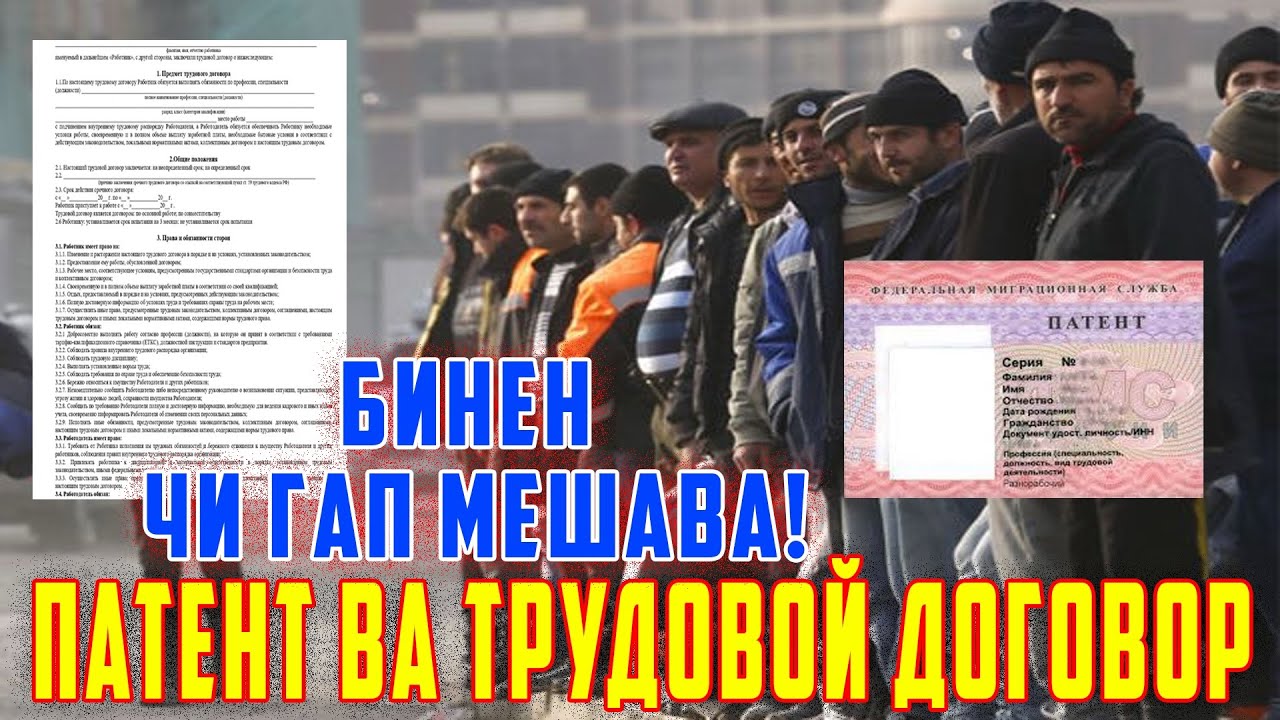 РЕЕСТР АВФ МЕШАВАД ? МУҲОҶИРОН ТАМОШО КНЕН ( ЮРИСТ TJ ) 4.02.26