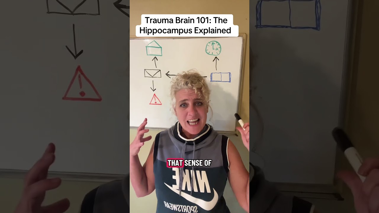 Trauma Brain 101: Hippocampus Explained 