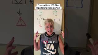 Trauma Brain 101: Hippocampus Explained #cptsd #hippocampus #neuroscience #ptsd #trauma