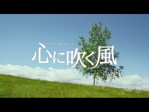 映画「心に吹く風」予告編