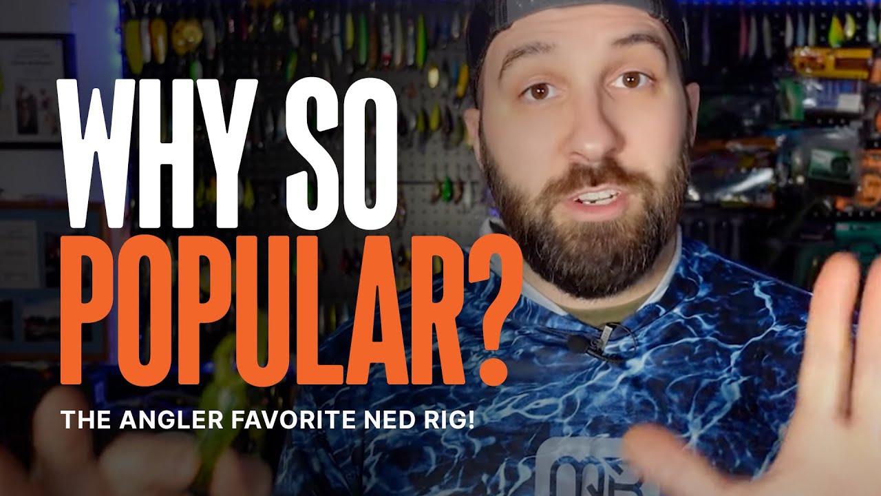 Why The Ned Rig Is A Favorite for the Aggressively Average Anglers