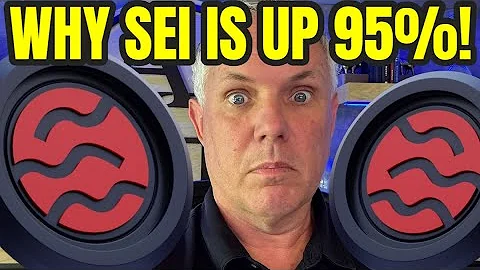 3 Reasons SEI Is Surging Over 95% Right Now! Have You Missed Major SEI Network Profits?!