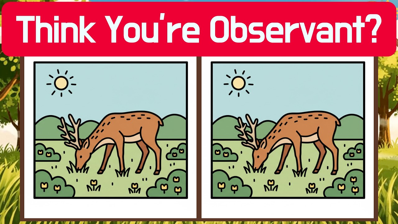 🦉 Think You’re Observant? | Detective Owl 🦉