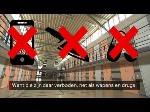 Video: Cody Gregg Gevangenis Cocaïne Bezit Was Melkpoeder