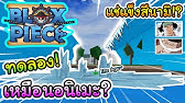 Roblox Blox Piece ท กเกาะในเกมมาจากอน เมะว นพ ช Youtube - roblox blox piece ตะล ยเกาะบาก ย งไงให ได เวลเยอะๆก บคชาพาเวล w