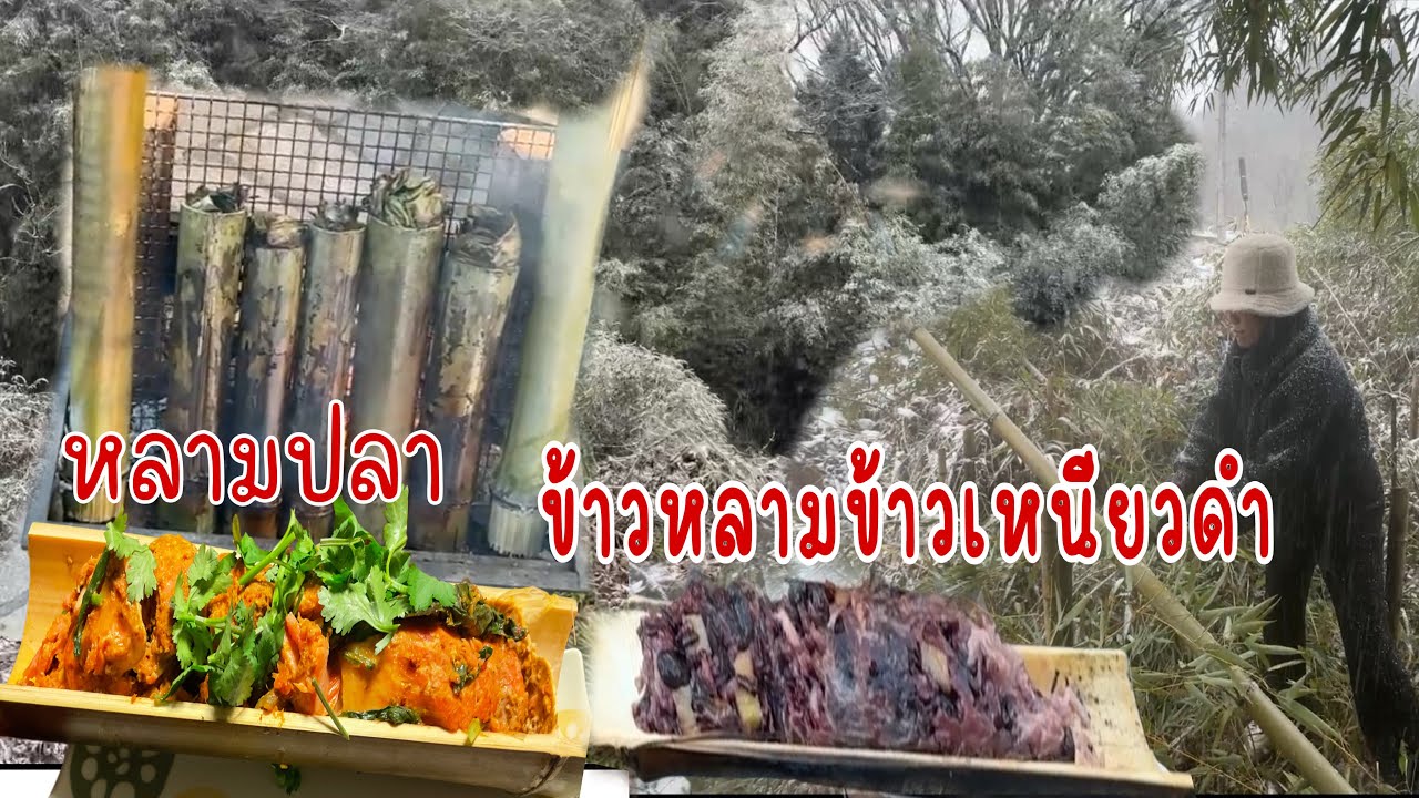 ลุยหิมะตัดไผ่ทำข้าวหลามช้าวเหนียวดำกับหลามปลาแซลมอนใส่ปลาร้านัวๆ คนญี่ปุ่นบ้านนี้บอกอร่อยทุกอย่าง😋
