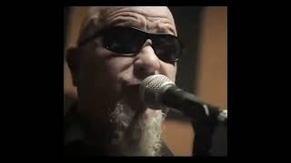 Só Amor !!! Um Pouquinho de Amor  !! Sérgio Duarte Band - Blues Nacional -