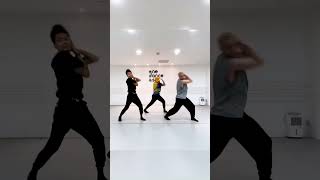 Pink Venom - BLACKPINK | Choreography by: @fredykosman