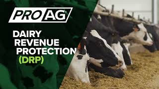 Breaking Down the Basics of Dairy Revenue Protection (DRP) in 30 Seconds