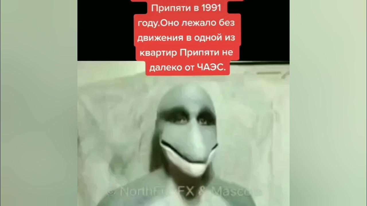 Дельфины из тик тока. Тик ток блондинка. Смайлик дельфин на голубом фоне. Дельфинчик стикер. Человек дельфин тик ток.