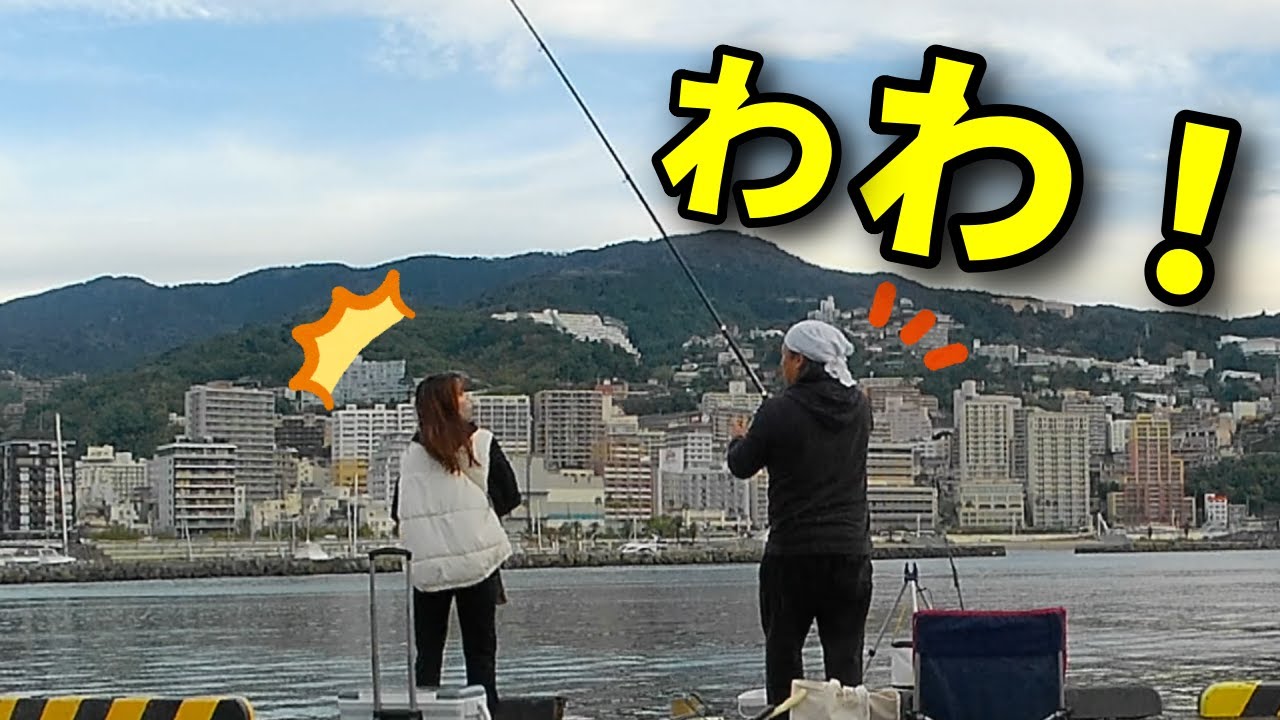 #101【堤防】車中泊しながら人気釣り場の熱海港に遠征！！あの魚が入れ食い状態…
