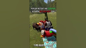 мемы из раста #rustрейд #пабг #растмирейд
