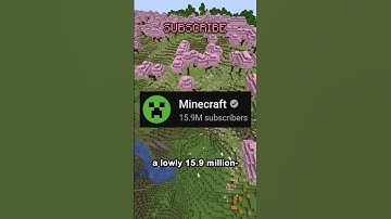 a new challenger is approaching...