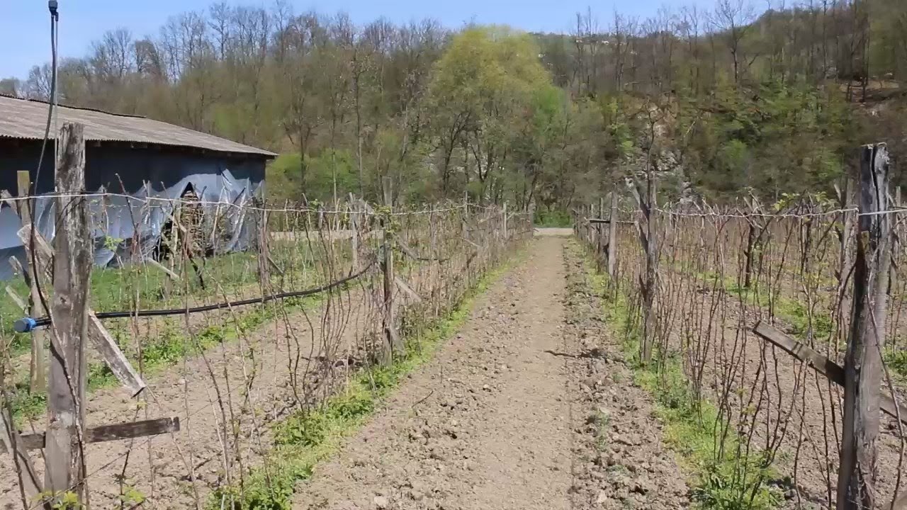 08.05.2019. STRUČNJACI OBILAZE ARILJSKE MALINJAKE milanovac gornji hotel