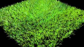 3ds Max Grass Animation