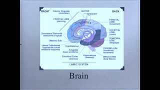 Is it Sensory or is it Behavior: Presented By Beth Tenace, MS, OTR/L