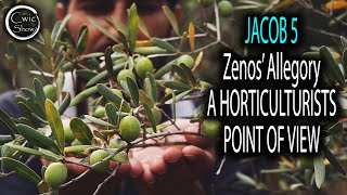 Jacob 5 Zenos' Allegory of The Olive Trees - Horticulturists Perspective