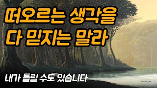 결정을 할 때 이성이 아닌 다른 방식도 있습니다 | 내가 틀릴 수도 있습니다, 비욘 나티코 린데블라드 Ep.02
