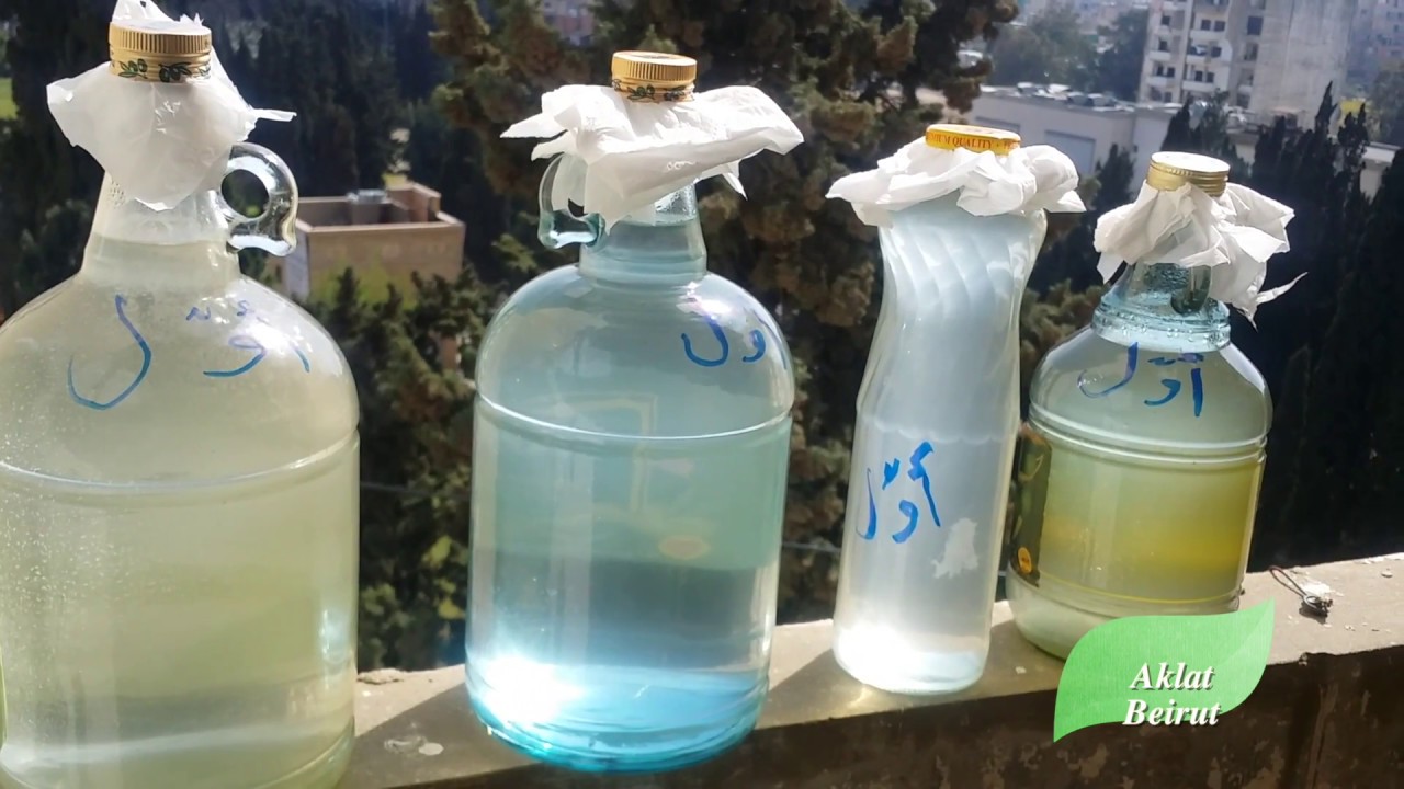 كيفية تقطير ماء الزهر الأصلي في البيت Orange blossom water - Home Made