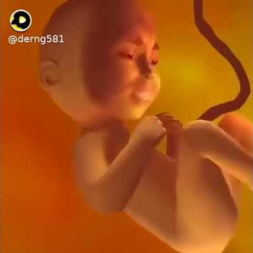 Bayi laknat