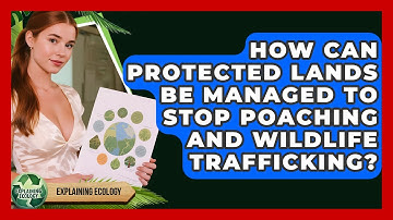 How Can Protected Lands Be Managed To Stop Poaching And Wildlife Trafficking? - Explaining Ecology