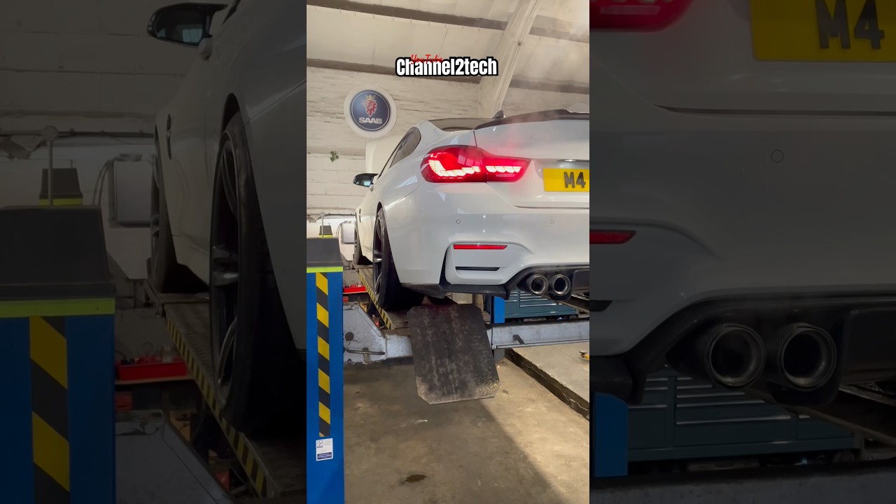 BMW M4 MOT 🐻 🐻 