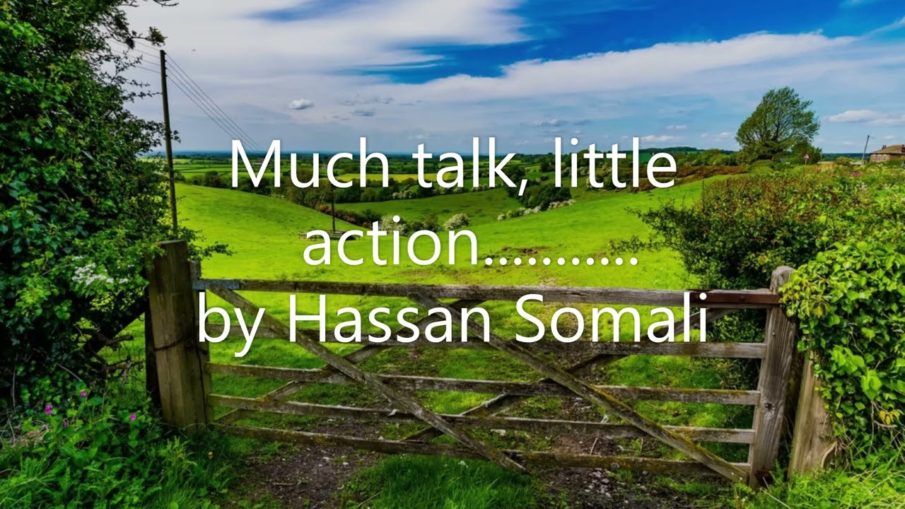 Много разговоров, мало дел... Автор: Хасан Сомали