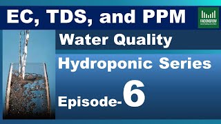 E6: Water Quality in Hydroponics & What is EC PPM & TDS?