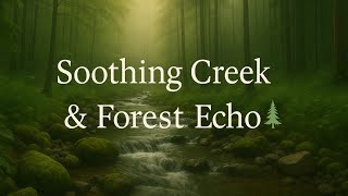 Flowing Creek with Gentle Forest Echo π²