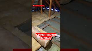 Ошибки на моей крыше #братьязахарята #своимируками