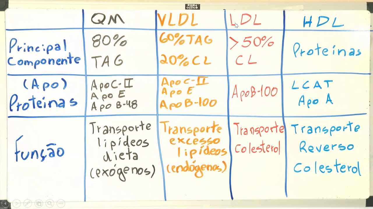 Lipoproteínas de Transporte