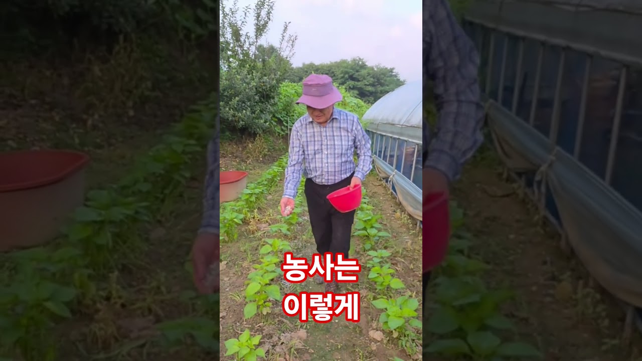 농사 잘 배워요