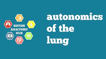 Lung autonomics