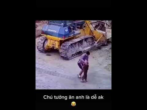 обезвреживание собаки приколы #shorts